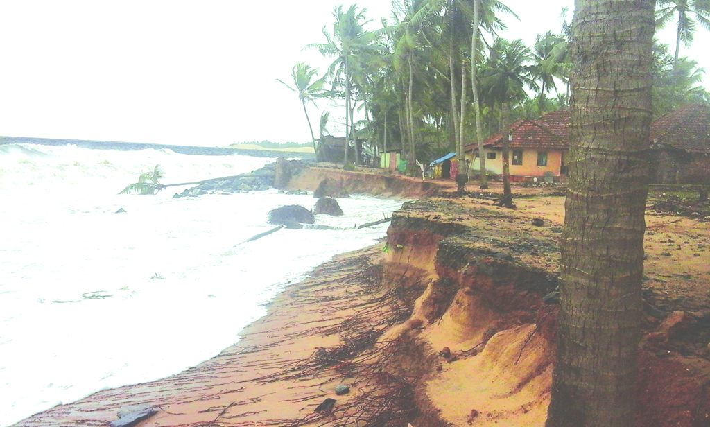 ಕಾಸರಗೋಡು; ತೀವ್ರಗೊಂಡ ಕಡಲ್ಕೊರೆತ